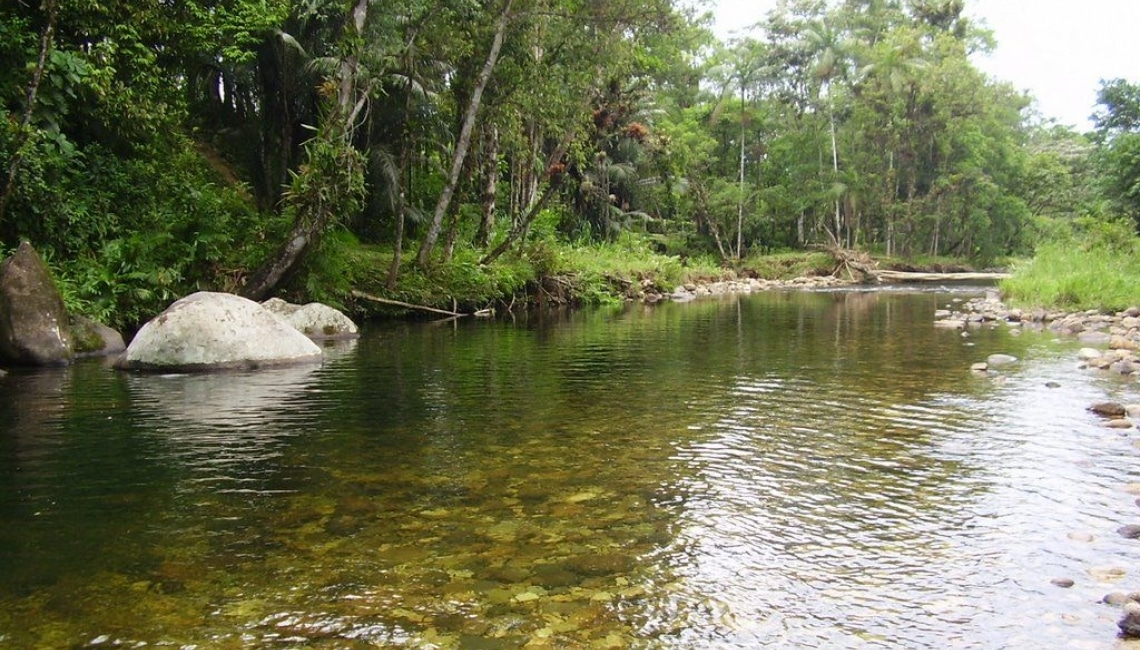 Rio do Nunes